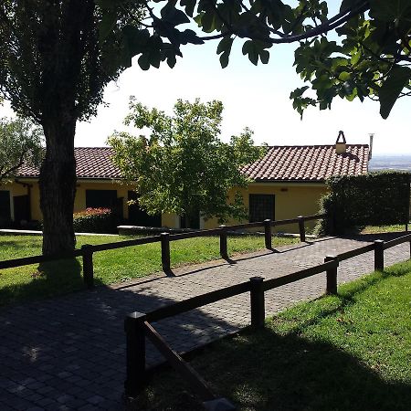 Agriturismo La Vite E Gli Ulivi Villa Ariccia Exterior foto