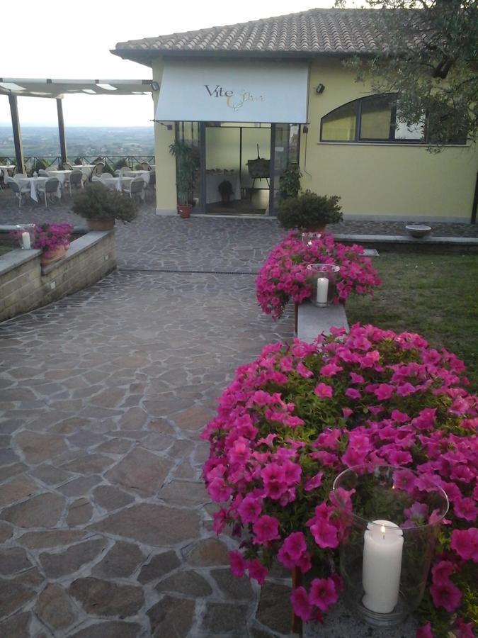Agriturismo La Vite E Gli Ulivi Villa Ariccia Exterior foto