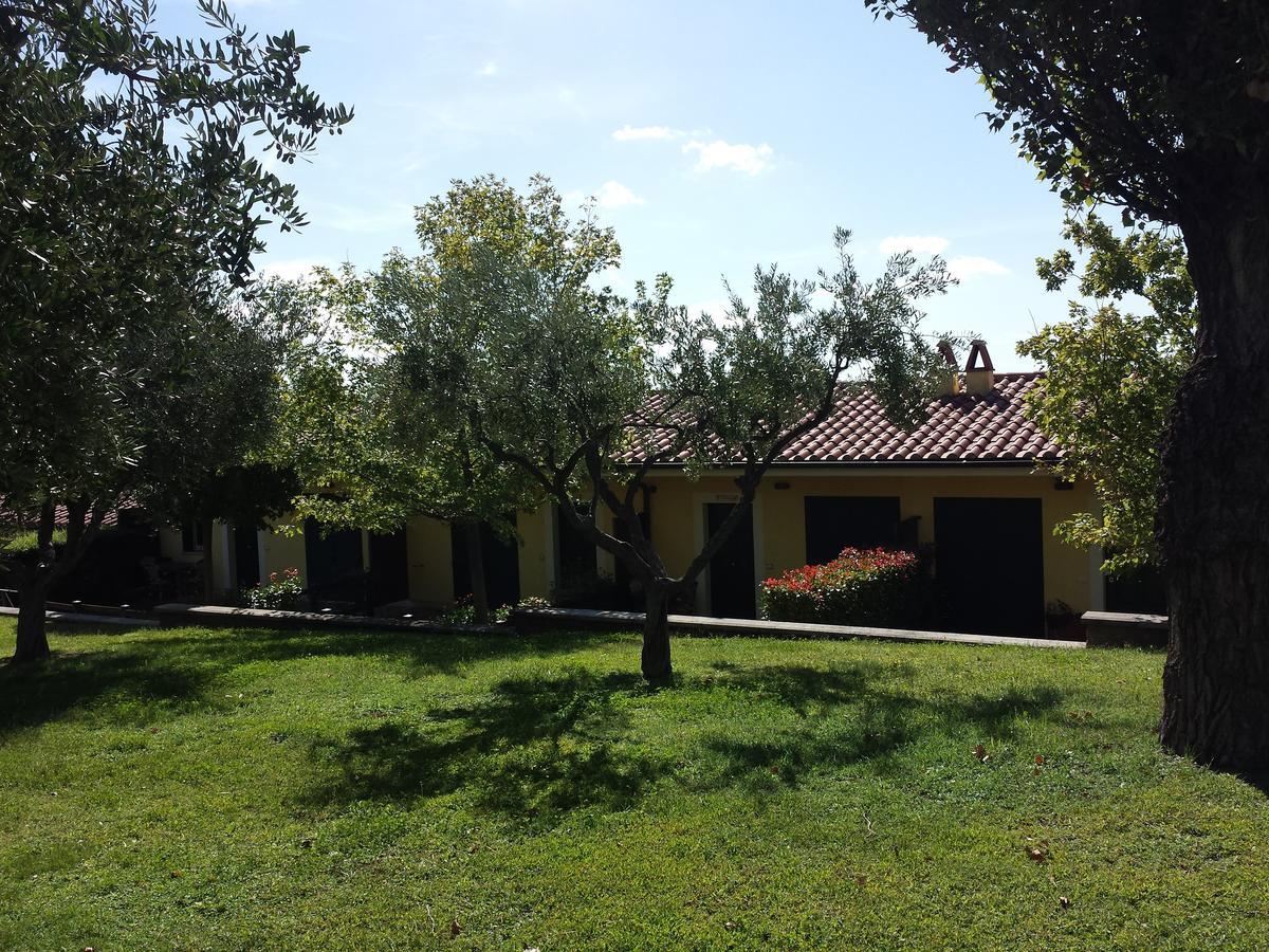 Agriturismo La Vite E Gli Ulivi Villa Ariccia Exterior foto